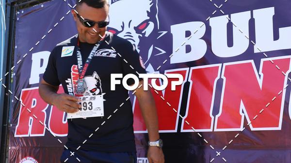 Compra tus fotos del eventoPIT BULL RUNNING En Fotop