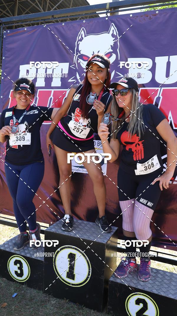 Acquista le foto dell'eventoPIT BULL RUNNING in Fotop