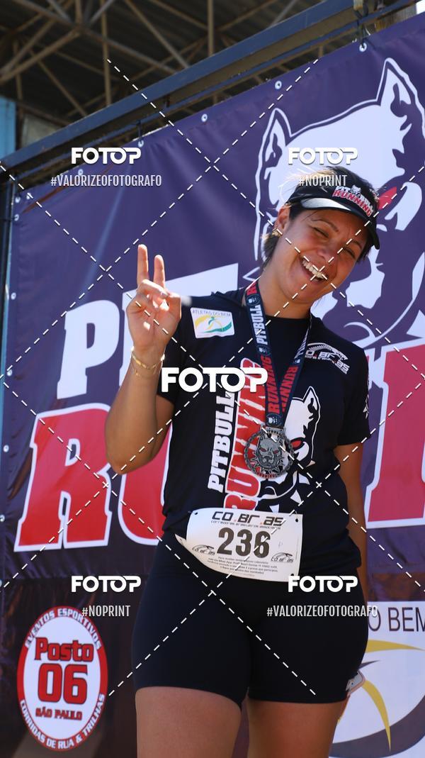 Buy your photos of the eventPIT BULL RUNNING on Fotop