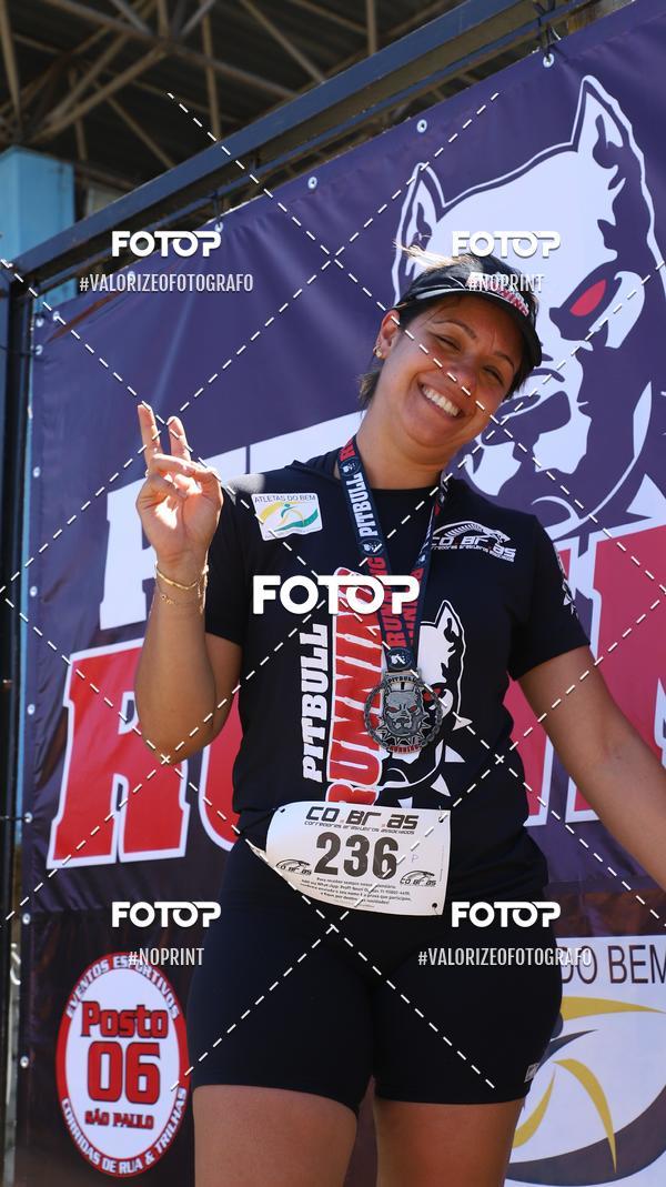 Buy your photos of the eventPIT BULL RUNNING on Fotop