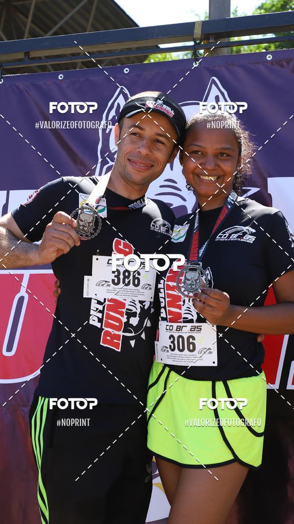 Buy your photos of the eventPIT BULL RUNNING on Fotop