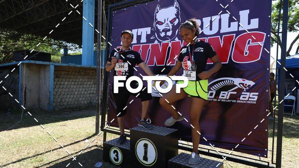 Buy your photos of the eventPIT BULL RUNNING on Fotop