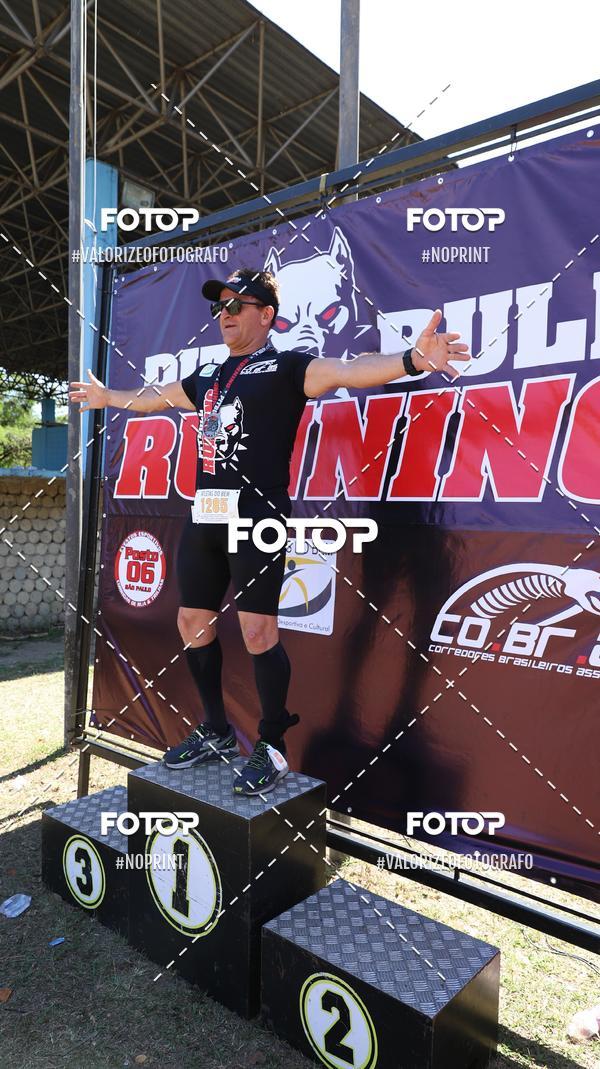 Buy your photos of the eventPIT BULL RUNNING on Fotop