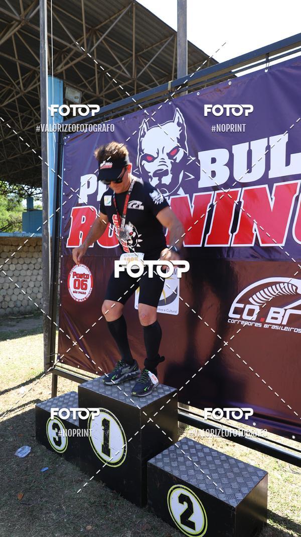 Buy your photos of the eventPIT BULL RUNNING on Fotop