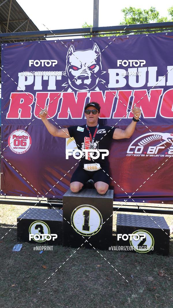Buy your photos of the eventPIT BULL RUNNING on Fotop