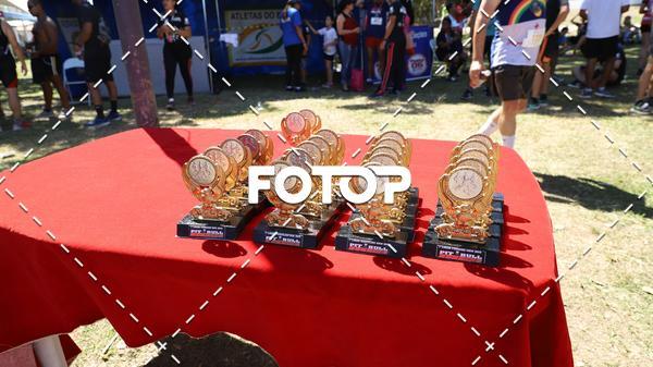 Buy your photos of the eventPIT BULL RUNNING on Fotop