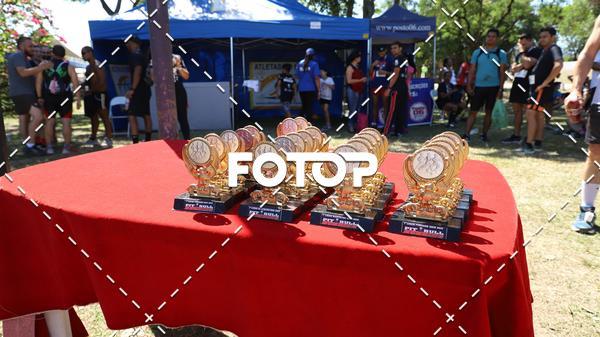 Buy your photos of the eventPIT BULL RUNNING on Fotop