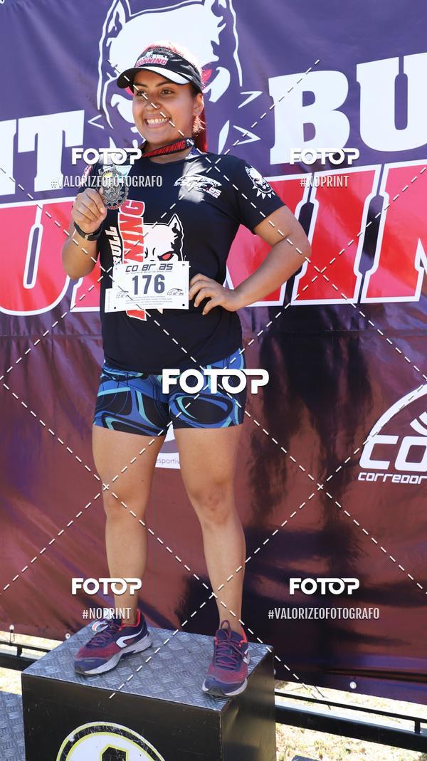 Buy your photos of the eventPIT BULL RUNNING on Fotop