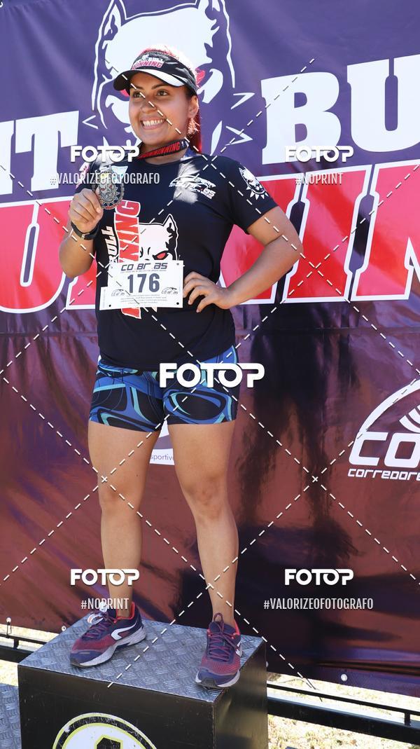 Buy your photos of the eventPIT BULL RUNNING on Fotop