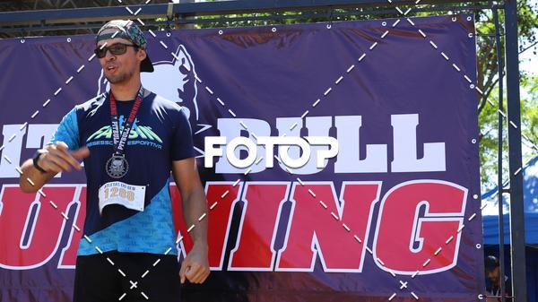 Buy your photos of the eventPIT BULL RUNNING on Fotop