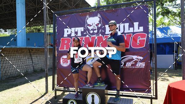 Compra tus fotos del eventoPIT BULL RUNNING En Fotop