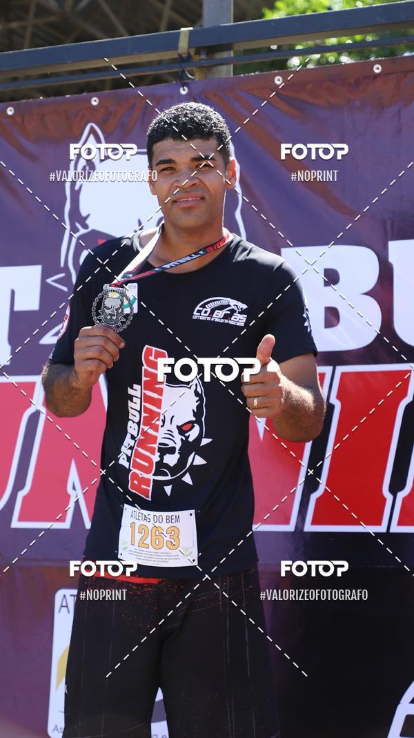 Compra tus fotos del eventoPIT BULL RUNNING En Fotop