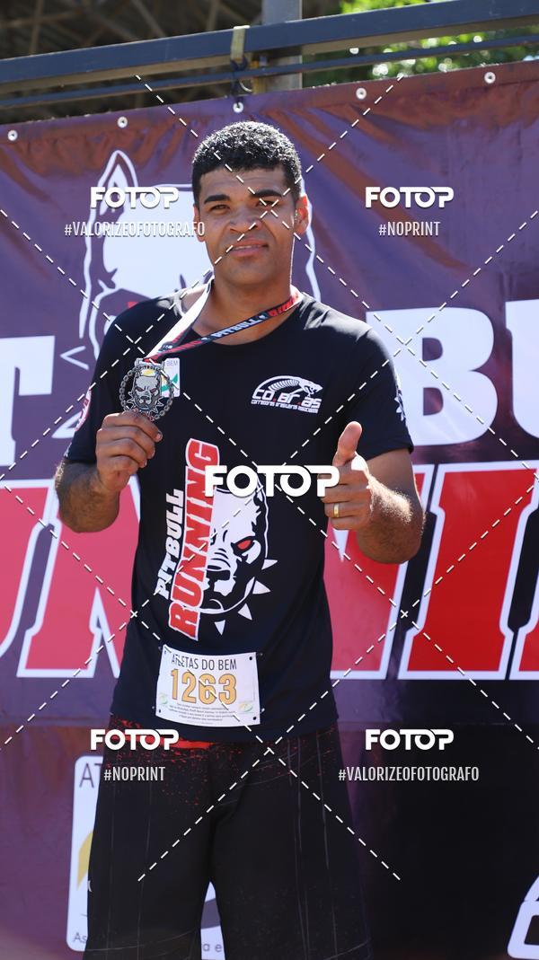 Compra tus fotos del eventoPIT BULL RUNNING En Fotop