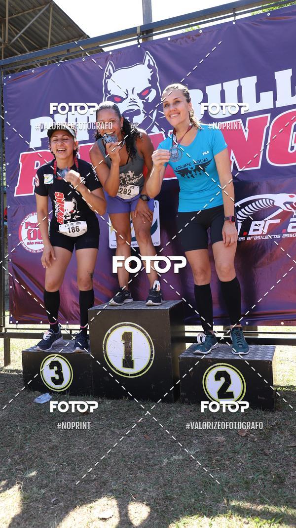 Compra tus fotos del eventoPIT BULL RUNNING En Fotop