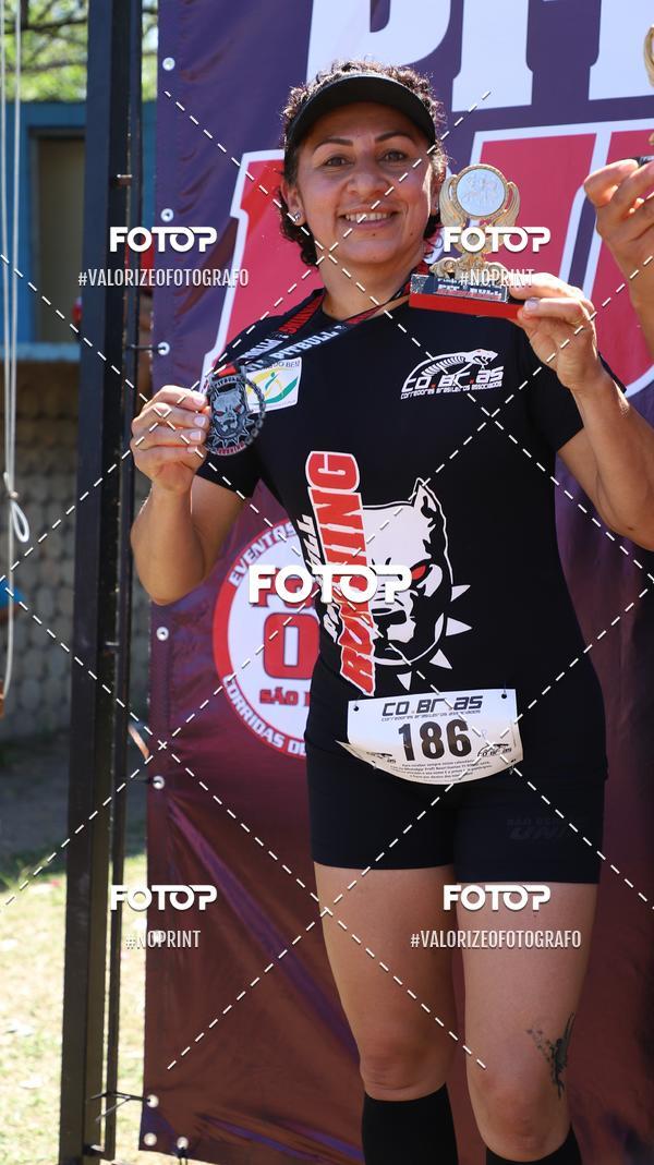 Compra tus fotos del eventoPIT BULL RUNNING En Fotop