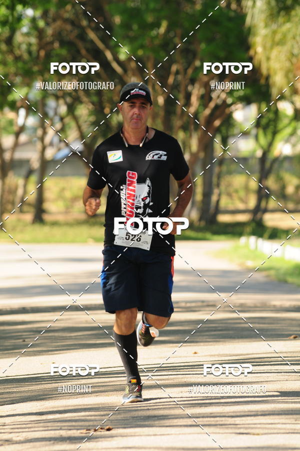 Buy your photos of the eventPIT BULL RUNNING on Fotop