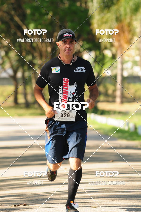 Buy your photos of the eventPIT BULL RUNNING on Fotop