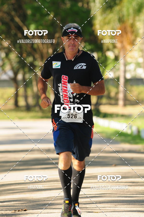 Buy your photos of the eventPIT BULL RUNNING on Fotop