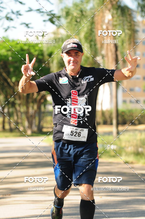 Buy your photos of the eventPIT BULL RUNNING on Fotop