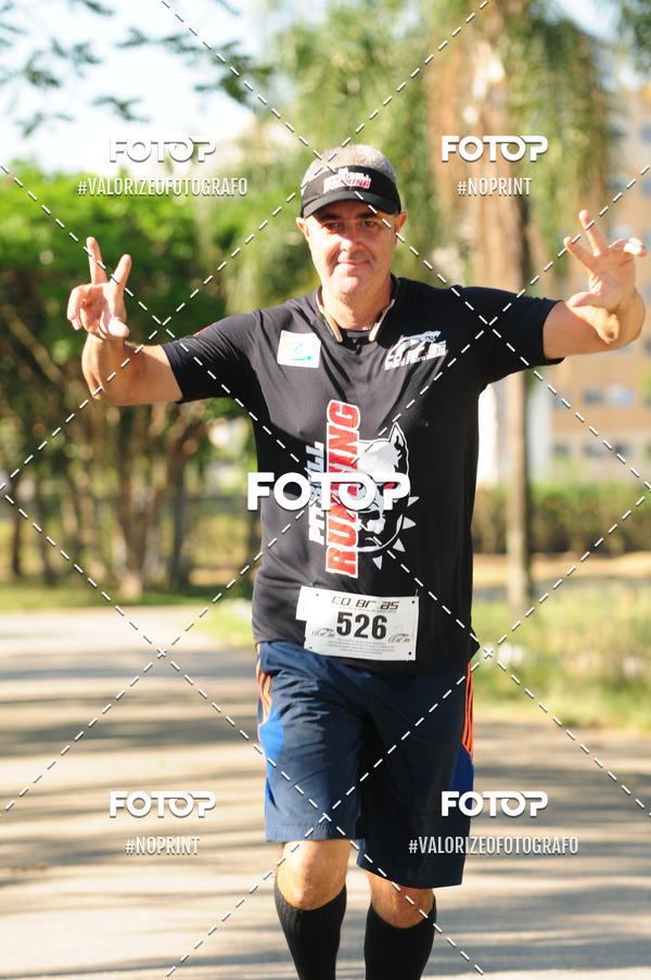 Buy your photos of the eventPIT BULL RUNNING on Fotop