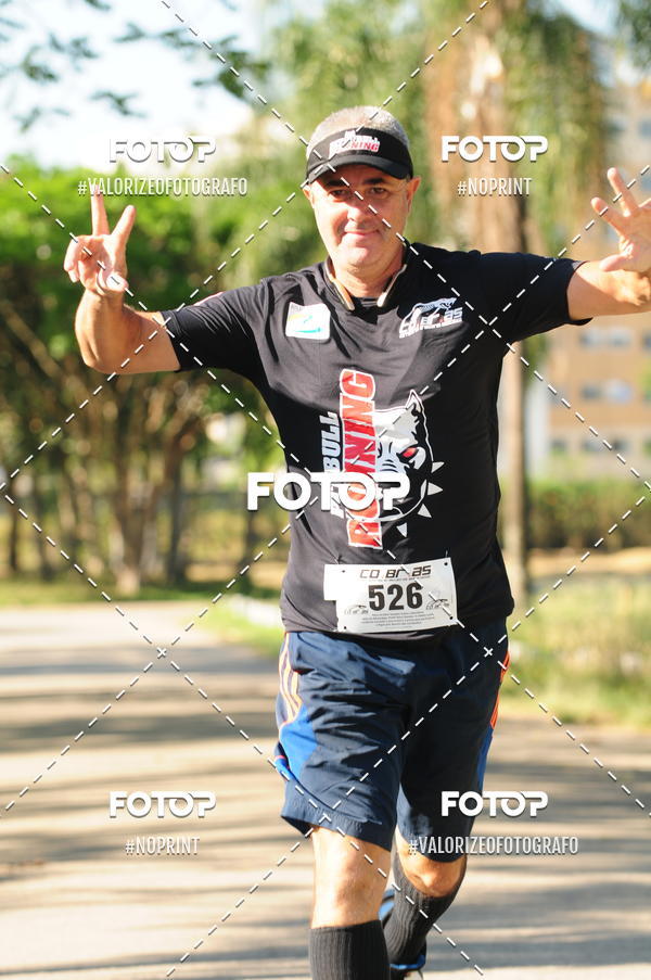 Buy your photos of the eventPIT BULL RUNNING on Fotop