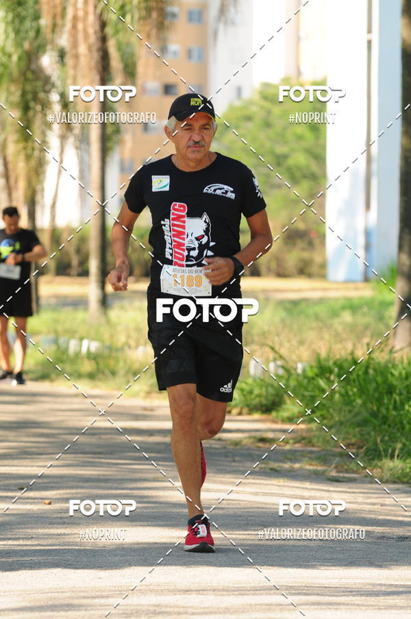 Buy your photos of the eventPIT BULL RUNNING on Fotop