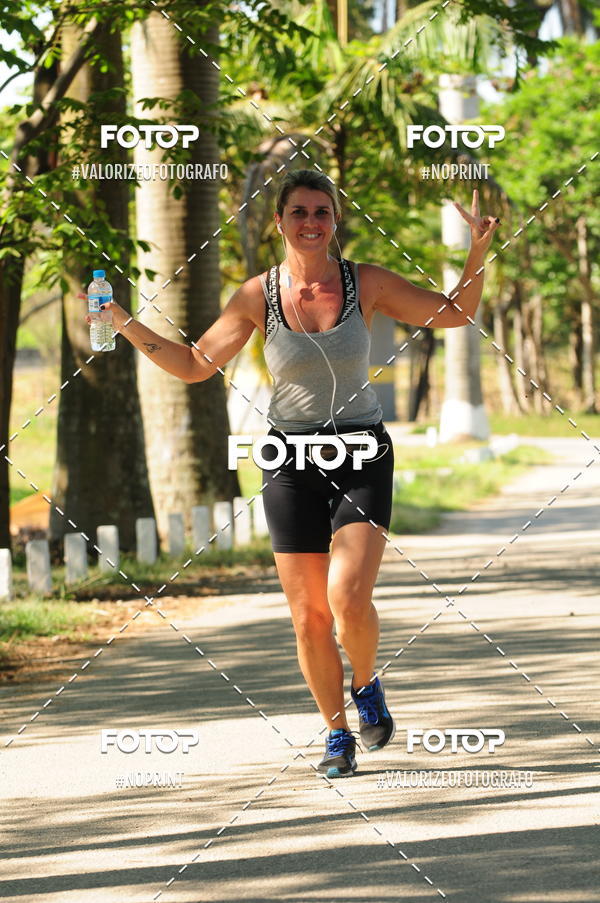 Compra tus fotos del eventoPIT BULL RUNNING En Fotop