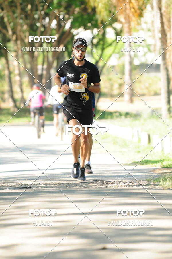 Compra tus fotos del eventoPIT BULL RUNNING En Fotop