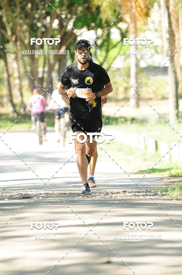 Compra tus fotos del eventoPIT BULL RUNNING En Fotop