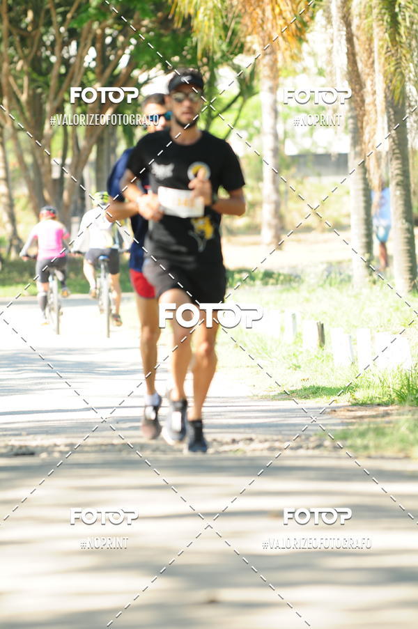 Compra tus fotos del eventoPIT BULL RUNNING En Fotop