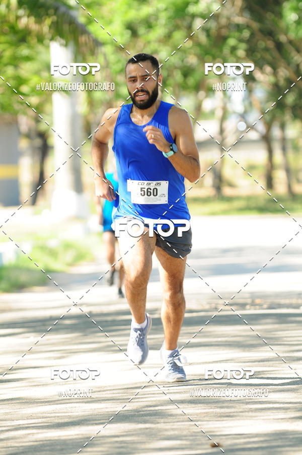 Compra tus fotos del eventoPIT BULL RUNNING En Fotop