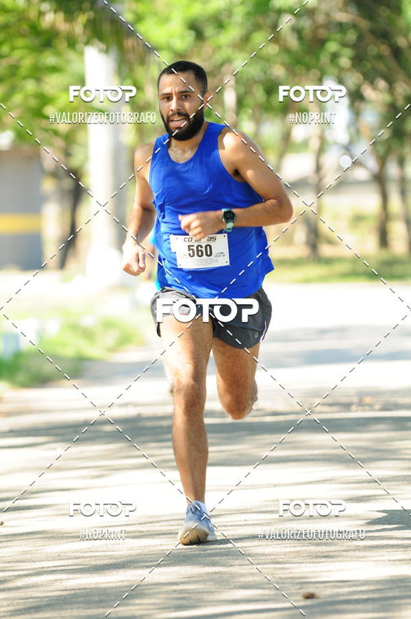 Compra tus fotos del eventoPIT BULL RUNNING En Fotop