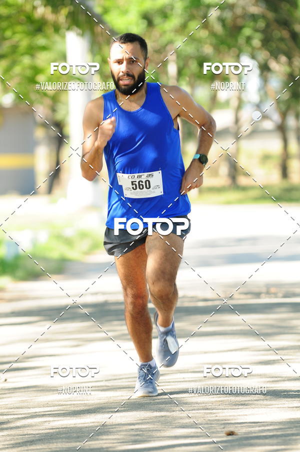 Compra tus fotos del eventoPIT BULL RUNNING En Fotop