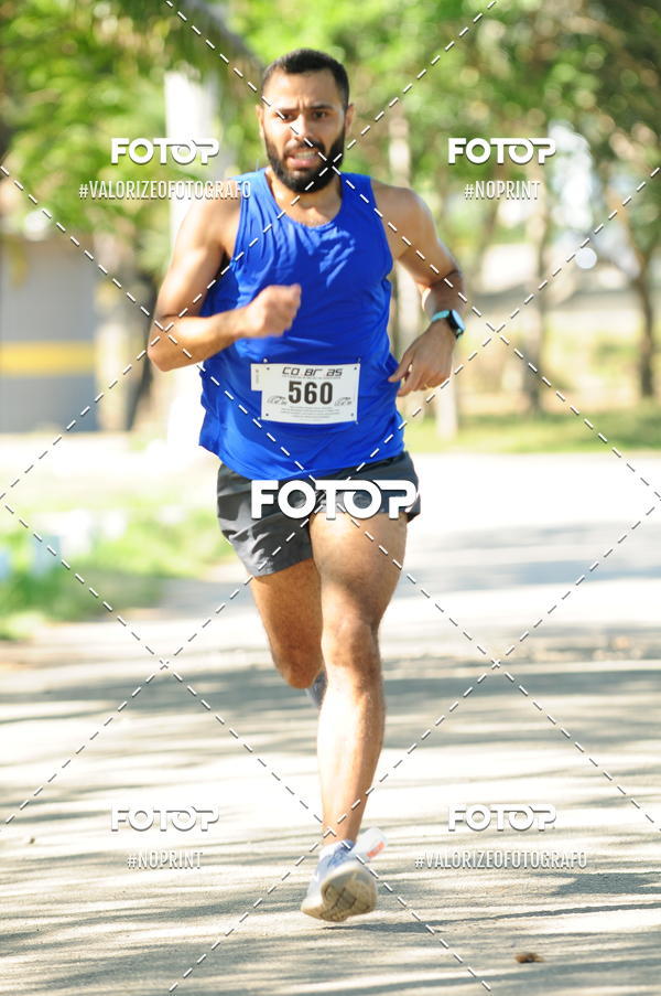 Compra tus fotos del eventoPIT BULL RUNNING En Fotop