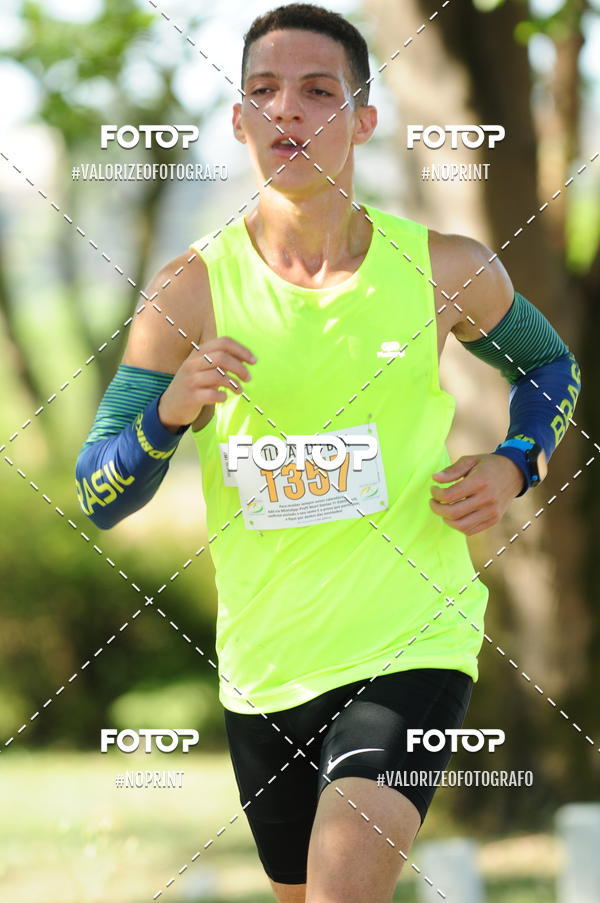 Compra tus fotos del eventoPIT BULL RUNNING En Fotop