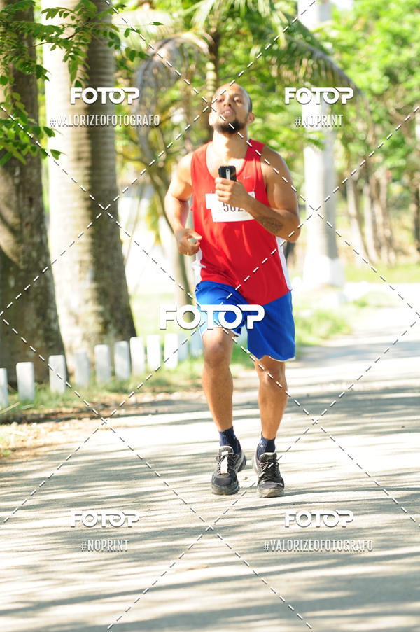 Compra tus fotos del eventoPIT BULL RUNNING En Fotop