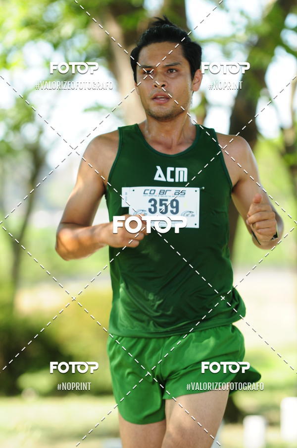 Achetez vos photos de l'vnementPIT BULL RUNNING sur Fotop