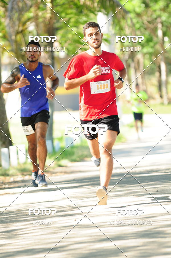 Compra tus fotos del eventoPIT BULL RUNNING En Fotop