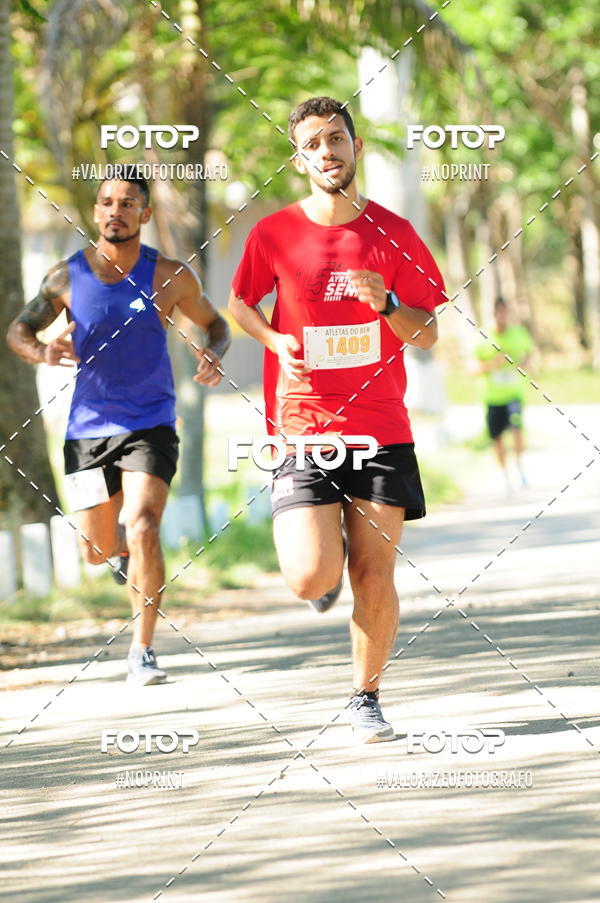 Compra tus fotos del eventoPIT BULL RUNNING En Fotop