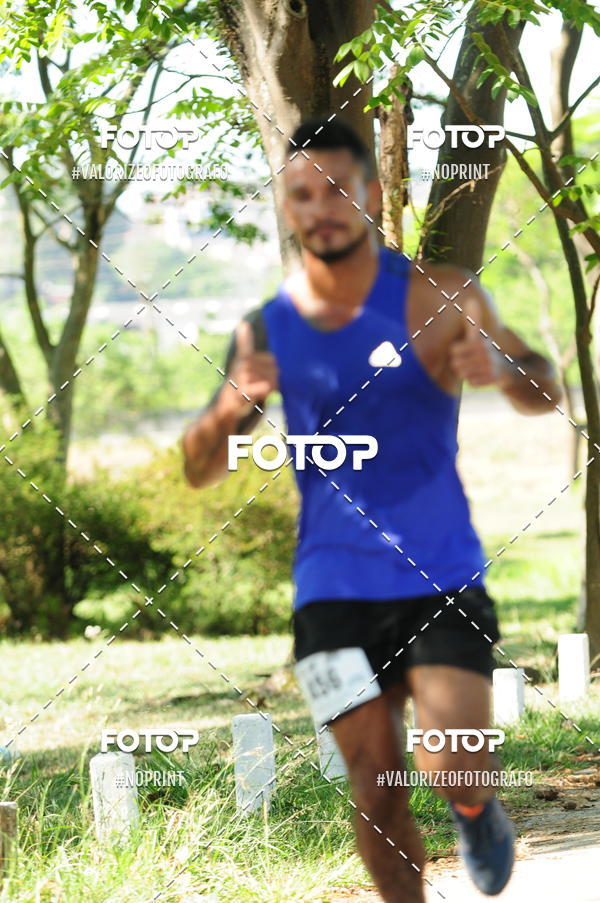 Compra tus fotos del eventoPIT BULL RUNNING En Fotop