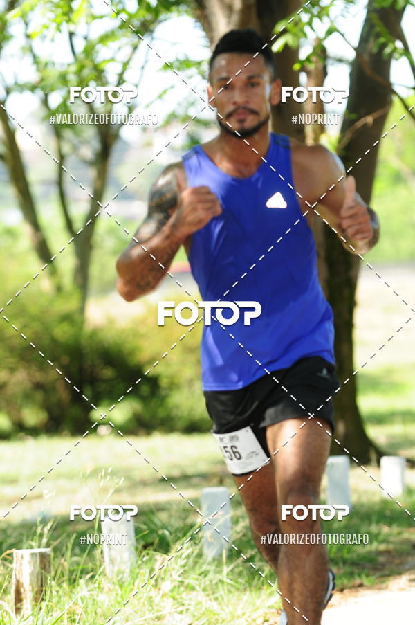 Compra tus fotos del eventoPIT BULL RUNNING En Fotop