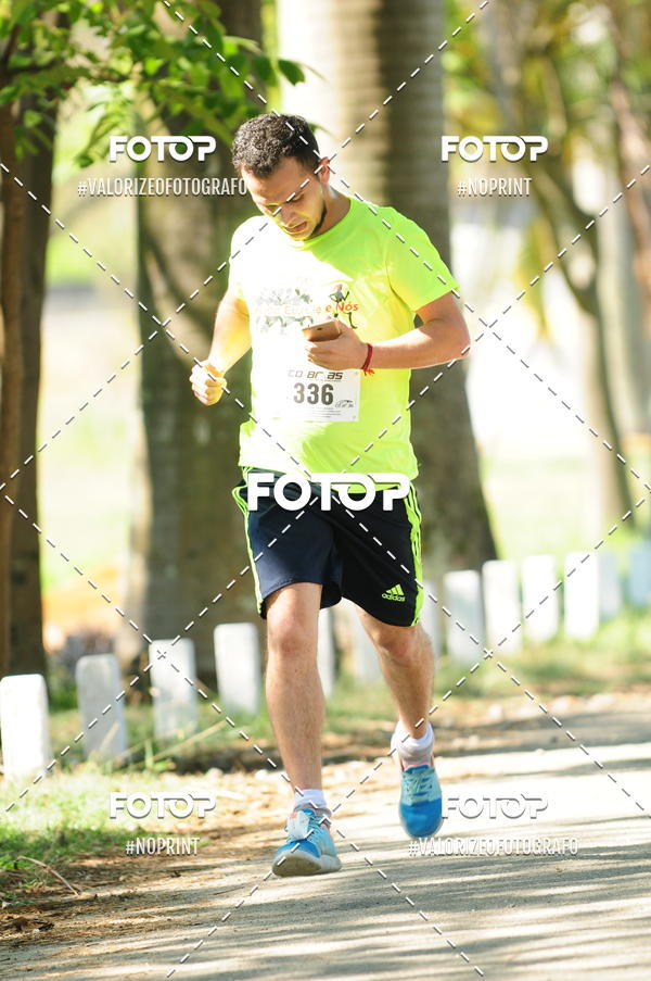 Compra tus fotos del eventoPIT BULL RUNNING En Fotop