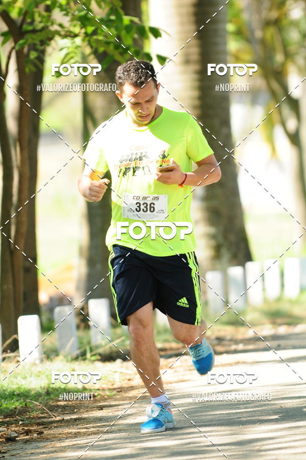 Compra tus fotos del eventoPIT BULL RUNNING En Fotop