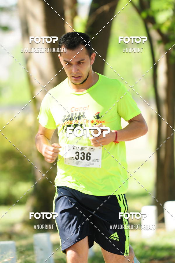 Compra tus fotos del eventoPIT BULL RUNNING En Fotop