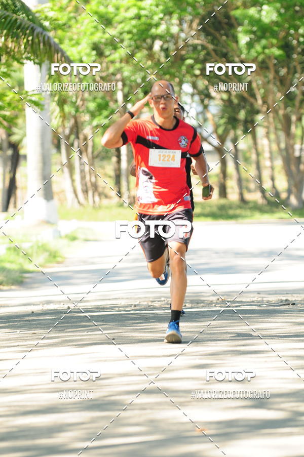 Compra tus fotos del eventoPIT BULL RUNNING En Fotop