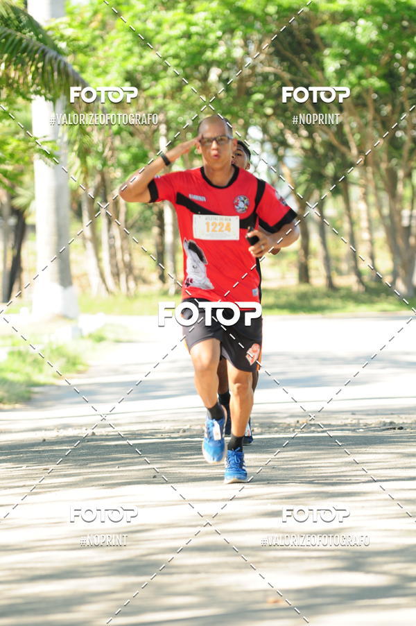 Compra tus fotos del eventoPIT BULL RUNNING En Fotop