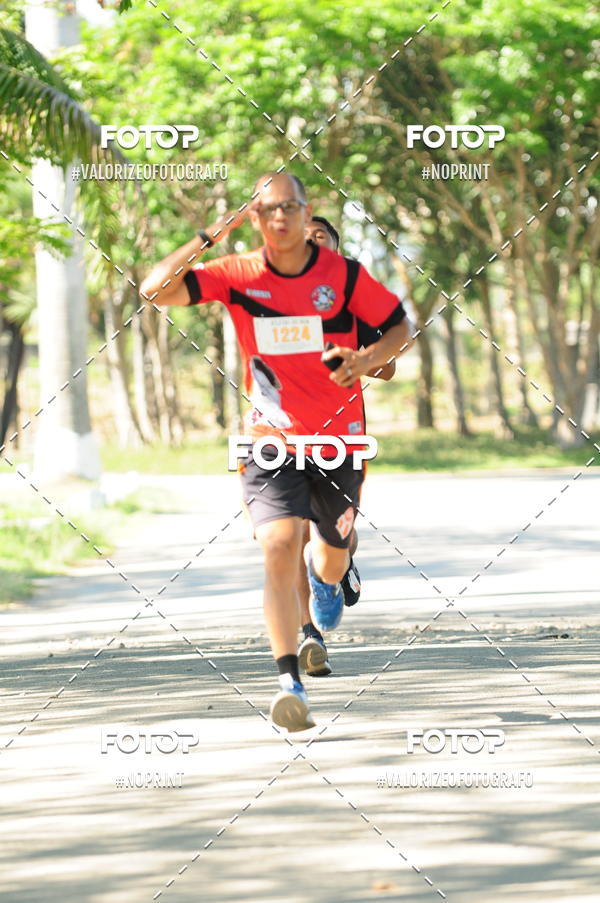 Compra tus fotos del eventoPIT BULL RUNNING En Fotop