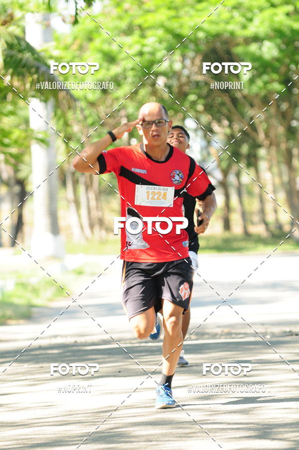 Compra tus fotos del eventoPIT BULL RUNNING En Fotop