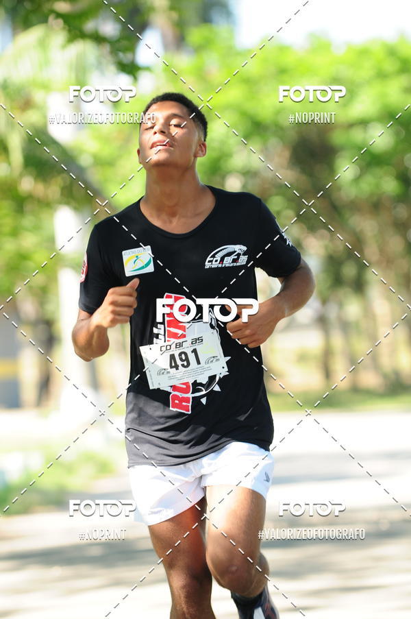 Compra tus fotos del eventoPIT BULL RUNNING En Fotop