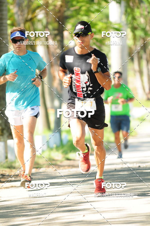 Compra tus fotos del eventoPIT BULL RUNNING En Fotop